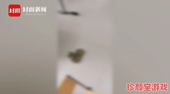 男生扒开美女内裤和胸罩，事件引发热议，网友纷纷讨论道德与法律的界限，以及对女性隐私权的保护