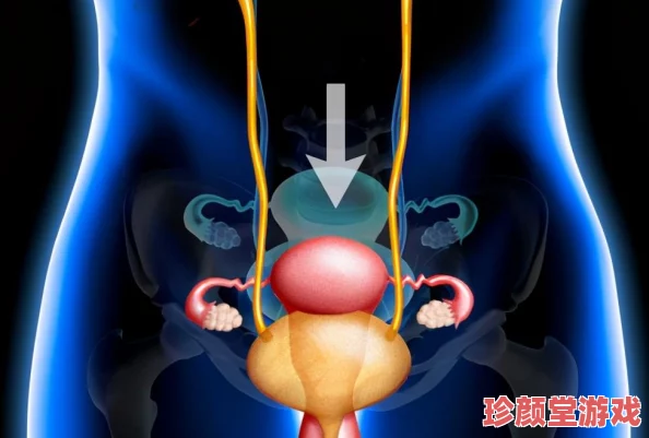 女性生殖特技表演αV：新动态揭示了更高难度的技巧与创新元素，吸引观众热议与关注