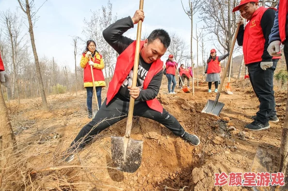 三穴齐开：最新动态显示多项政策同步实施，推动经济复苏与市场活力提升