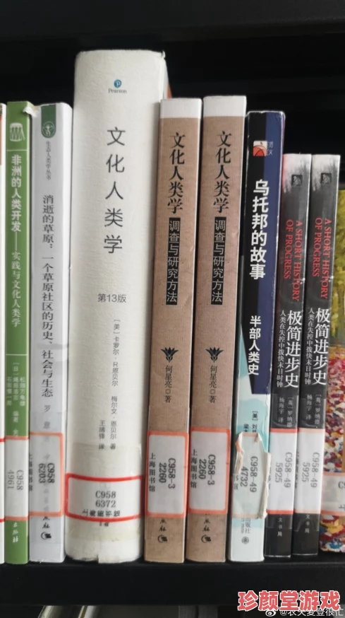 乱小说录目伦800：最新动态揭示了该作品在读者中的热度持续上升，相关讨论和评论不断增加